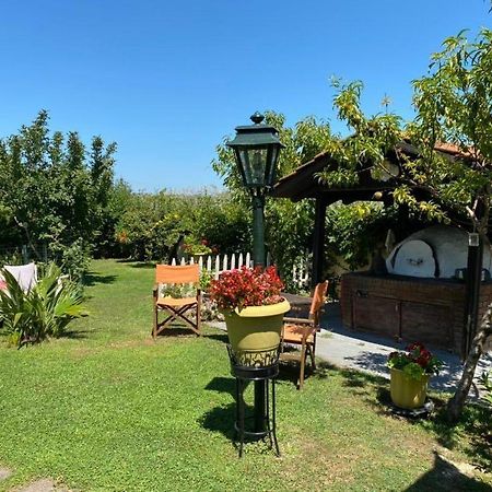 Seaside Cottage Paralia Katerinis Exterior photo