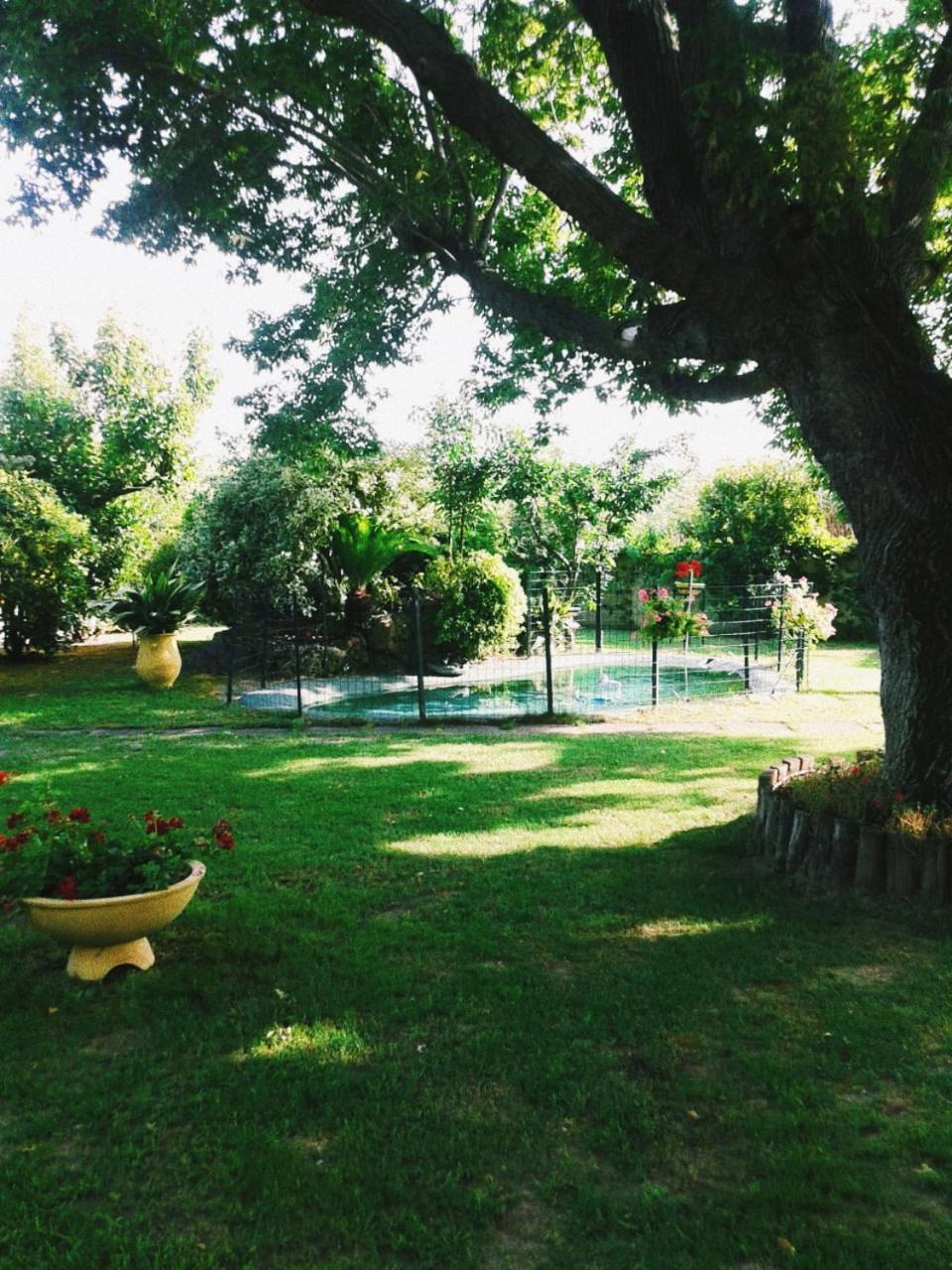 Seaside Cottage Paralia Katerinis Room photo